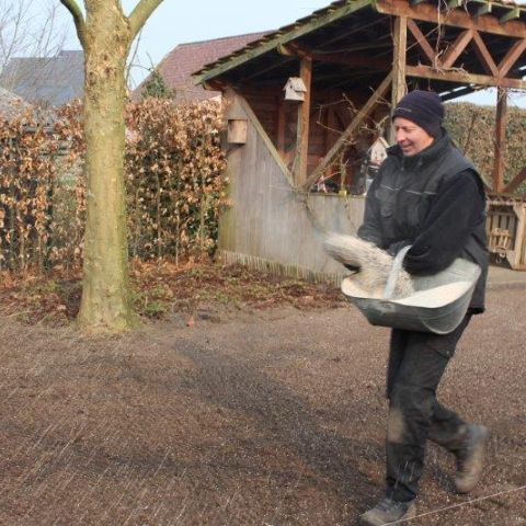 Tuinaanleg Tom Verhoeven